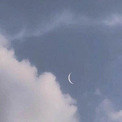 王朝的女人游戏下载